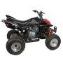 Quads/ATV's - Quad/ATV 250cc Big Tiger - 250cc - 204